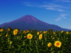 9.21の富士山