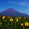 9.21の富士山