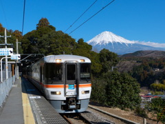 ワイドビューふじかわと富士山