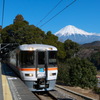 ワイドビューふじかわと富士山