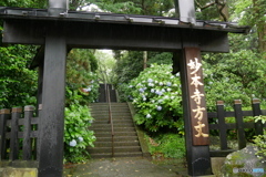 P1060491