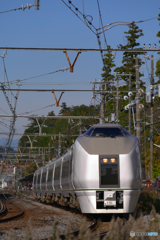 E651