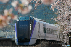 勝沼ぶどう郷駅の桜