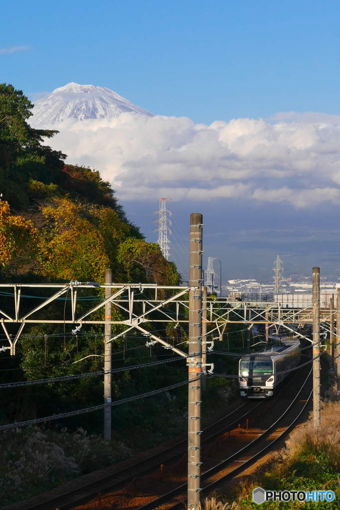 E257系で行く　品川⇔静岡　日帰りの旅