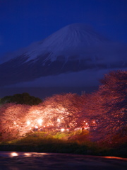 2014夜桜富士山＠龍巌淵