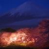 2014夜桜富士山＠龍巌淵