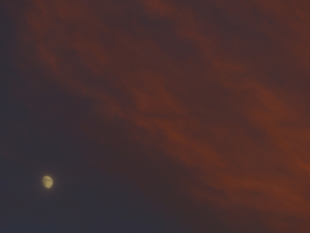 夕焼けの月