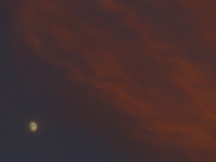夕焼けの月
