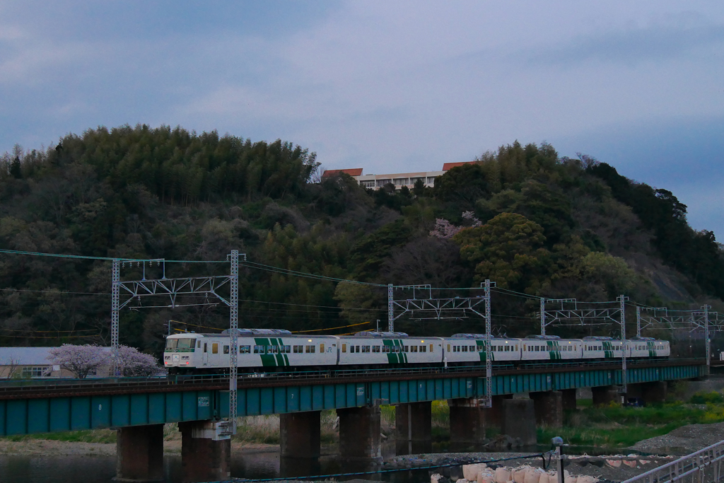 185系プレDC静岡まつり号