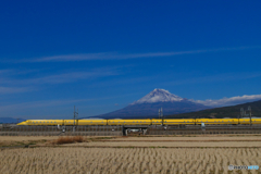 DY＆　MtFuji
