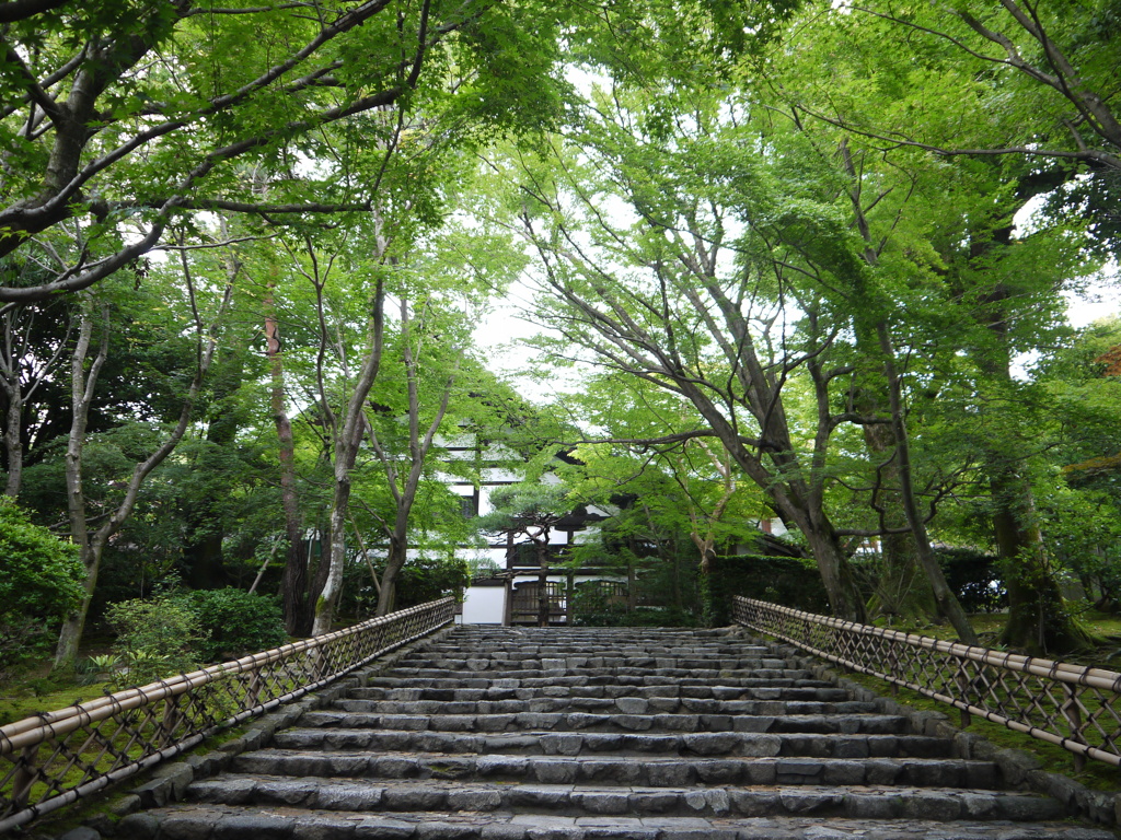 過去画像 京都旅行　　竜安寺