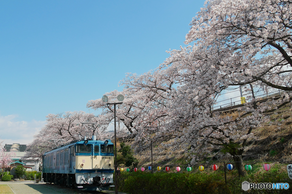 勝沼ぶどう郷駅の桜