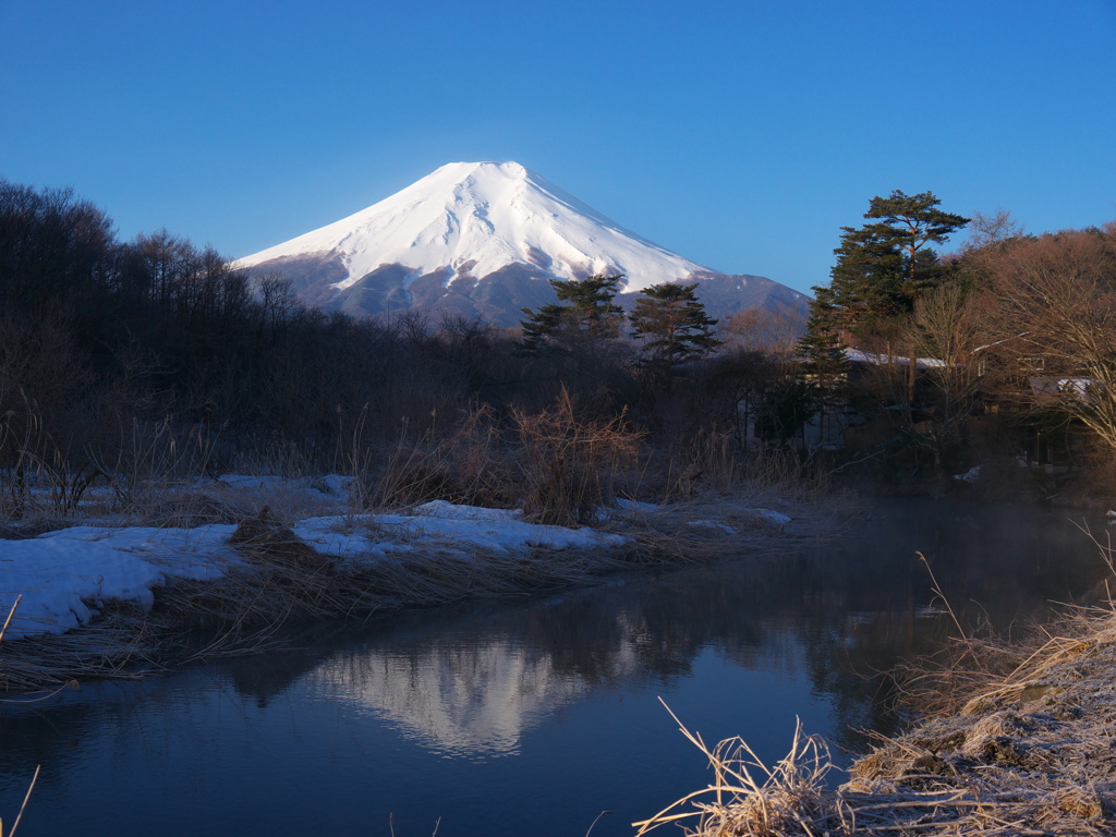 朝の富士山