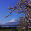 桜　富士山　N７００系