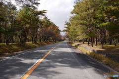 ふじあざみライン