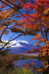 山中湖で紅葉と富士山