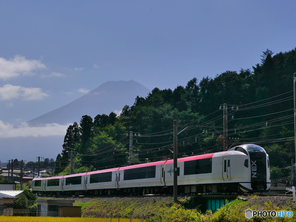 富士急行　を走るE259系