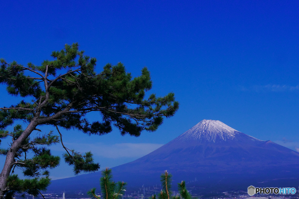 松と富士山