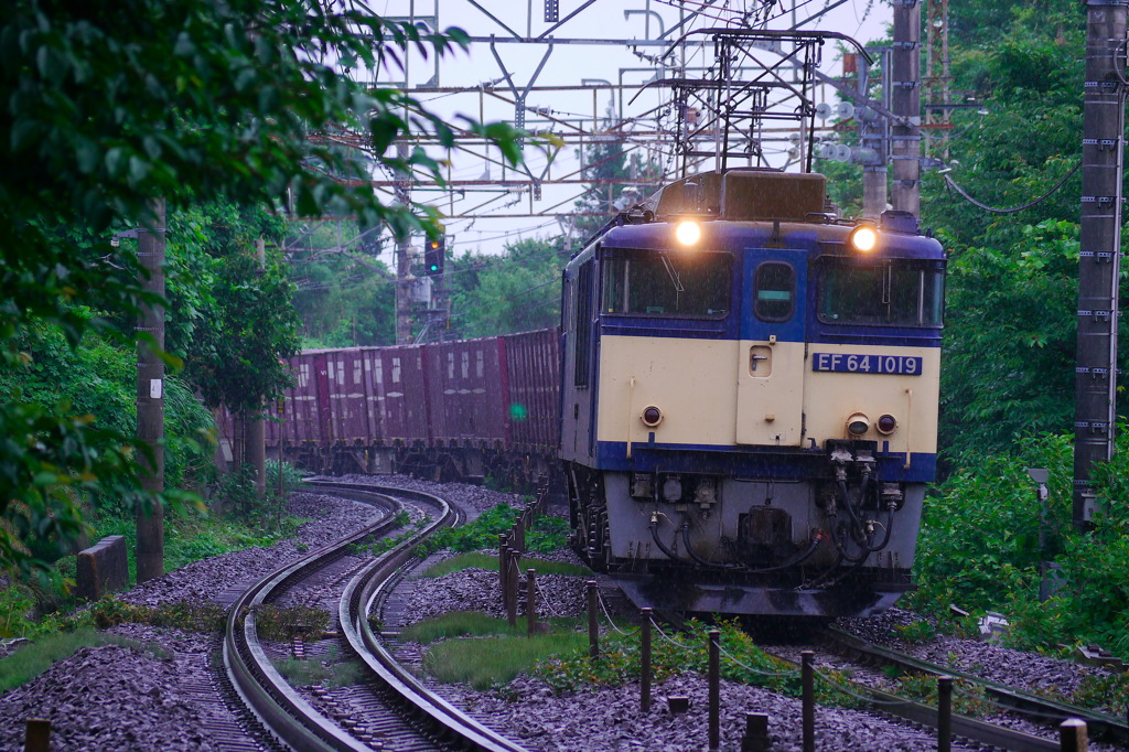 EF64-1019
