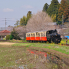 春のトロッコ列車