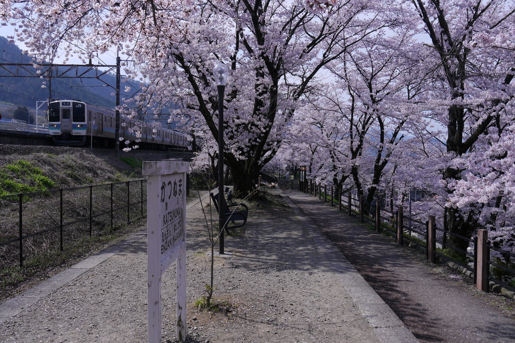 梨郷駅