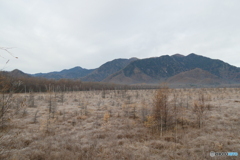 戦場ヶ原
