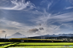 インプレッシブアートでドクターイエローと富士山