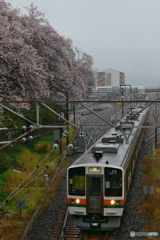 2023年山北駅