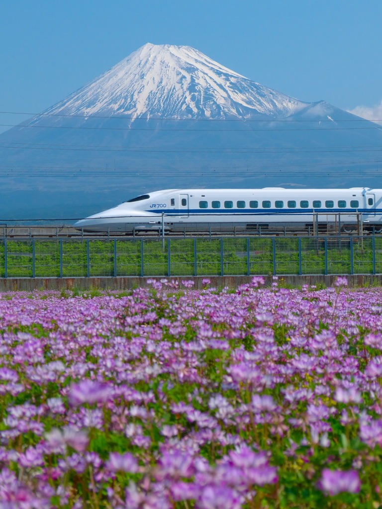 富士山と蓮華700系