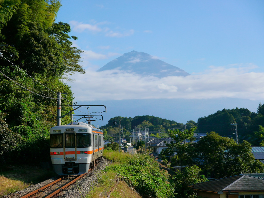 313系と富士山