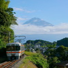 313系と富士山