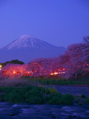 Ｈ25年の桜と富士山＠龍巌淵