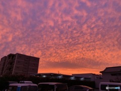 師走の朝