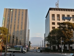 IMG_20201127_071151