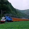 機関車トーマス＠大井川鉄道