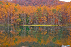 紅葉の御射鹿池