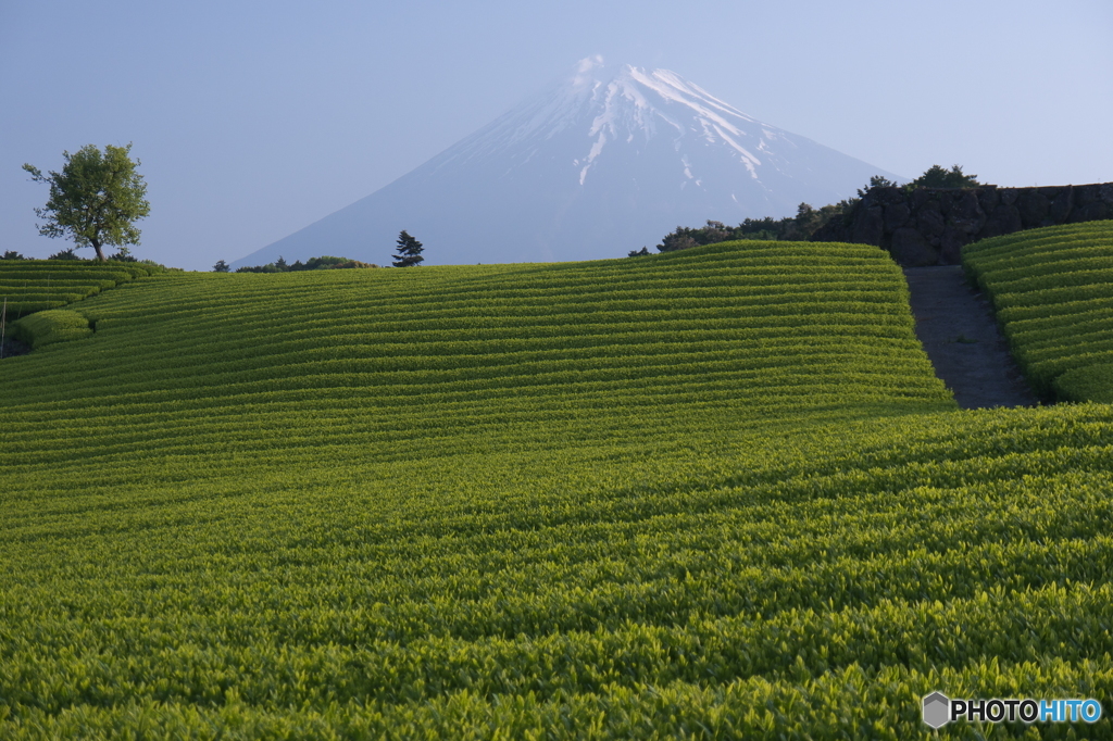 八十八夜の富士山