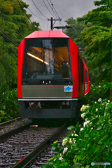 箱根登山鉄道