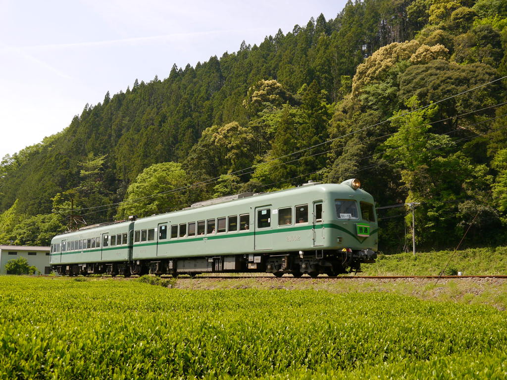 大井川鉄道南海ズームカー