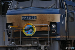 EF66-36