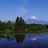 水田の逆さ富士