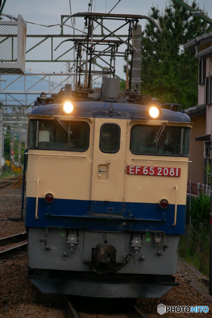 EF65