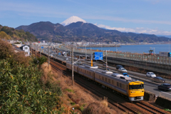 由比の海岸を行く