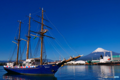 田子の浦ポートフェスタ　　帆船みらいへ　