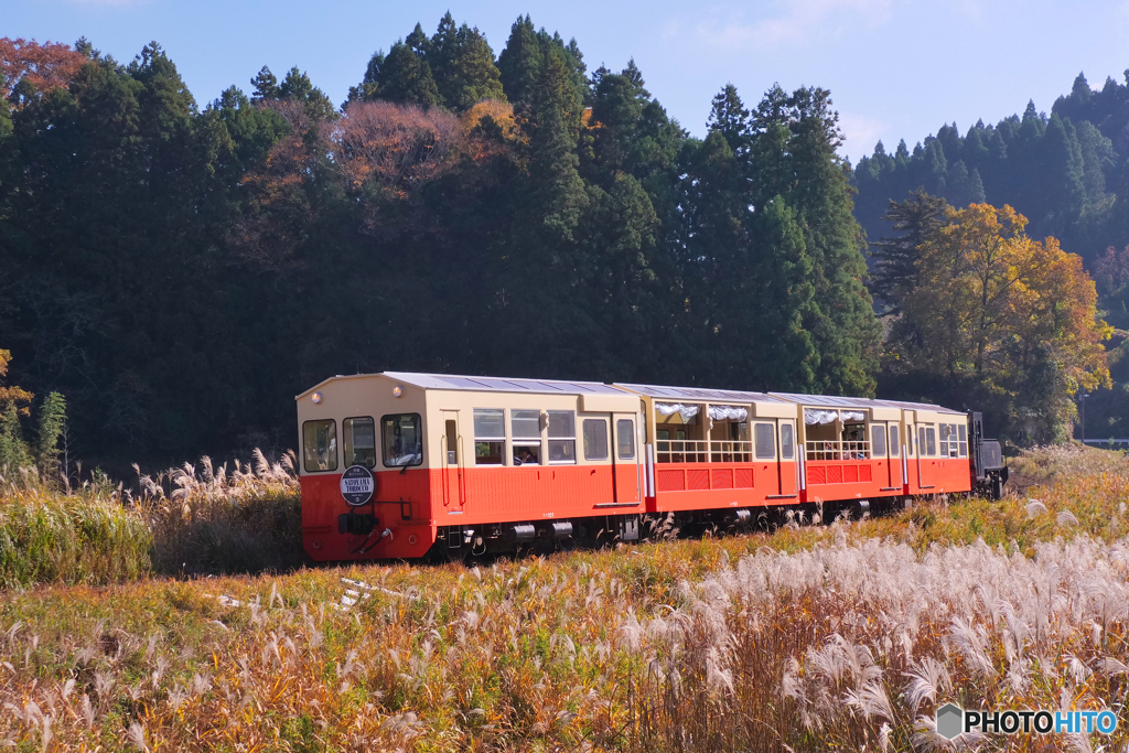 小湊鐡道 里山トロッコ列車