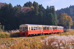 小湊鐡道 里山トロッコ列車