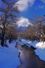 冬の忍野