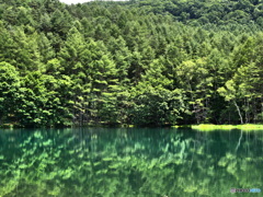 御射鹿池の夏