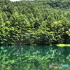 御射鹿池の夏