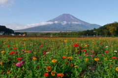 山中湖　花の都公園富士山